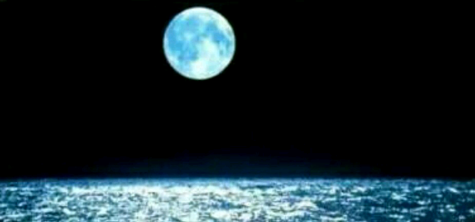 写给远在他乡异国的儿女们 